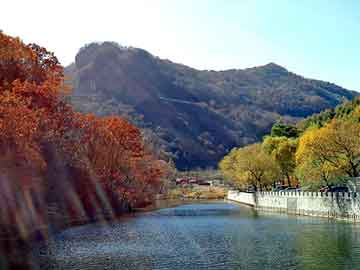 新澳天天开奖资料大全旅游团，深圳到澳门货运